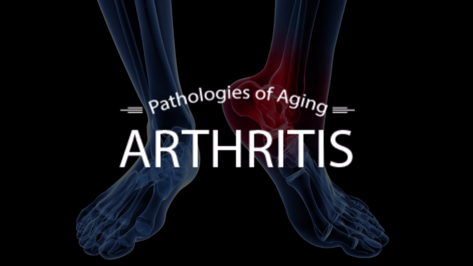 Ayurveda & Anti-Aging - DVD Set Experience Ayurveda