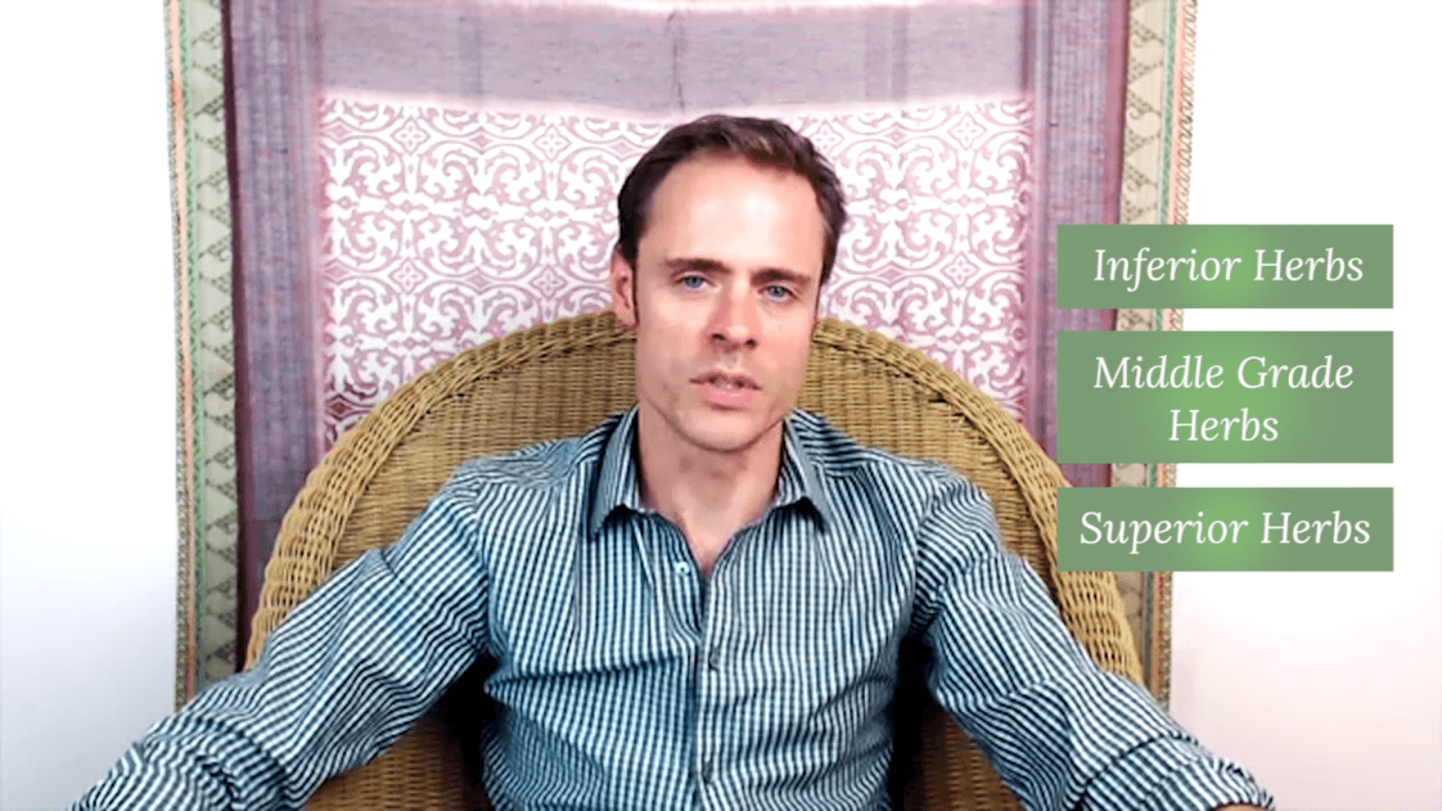 Ayurveda & Anti-Aging - DVD Set Experience Ayurveda