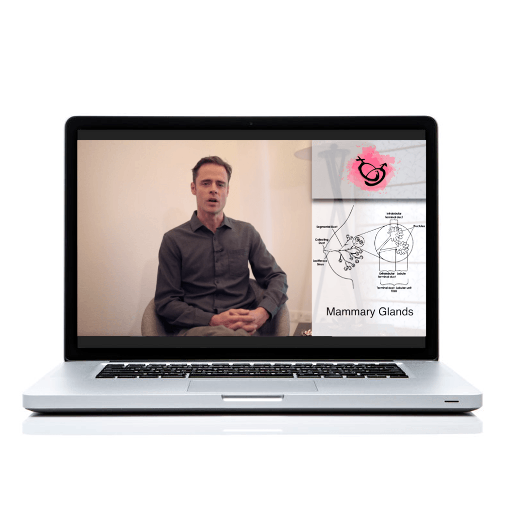 Ayurveda & Sexual Wellness Educational Course The Ayurveda Experience