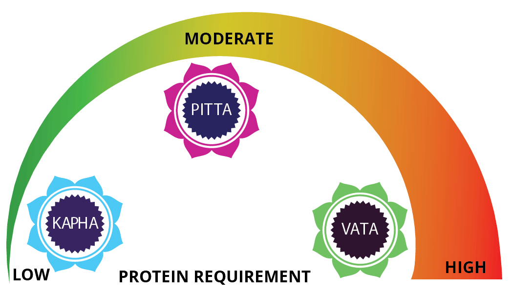 Ayurveda & The Paleo Diet - Digital Educational Course Experience Ayurveda