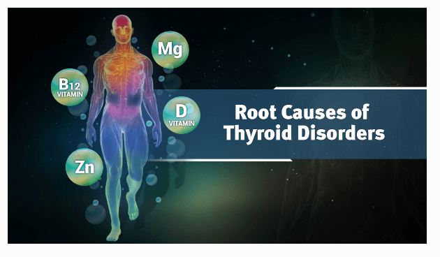 Ayurveda & Thyroid Health Platinum Educational Course Experience Ayurveda