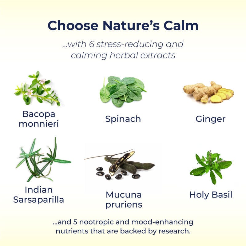 BacoBliss I Scientifically Tested Mood Support Formula I 10+ mood-boosting ingredients for Calm, Relaxation, Healthy Sleep and Relief from Mild and Occasional Stress I With Mucuna pruriens, Bacopa monnieri, Magnesium, 5-HTP and more Supplements Ayuttva