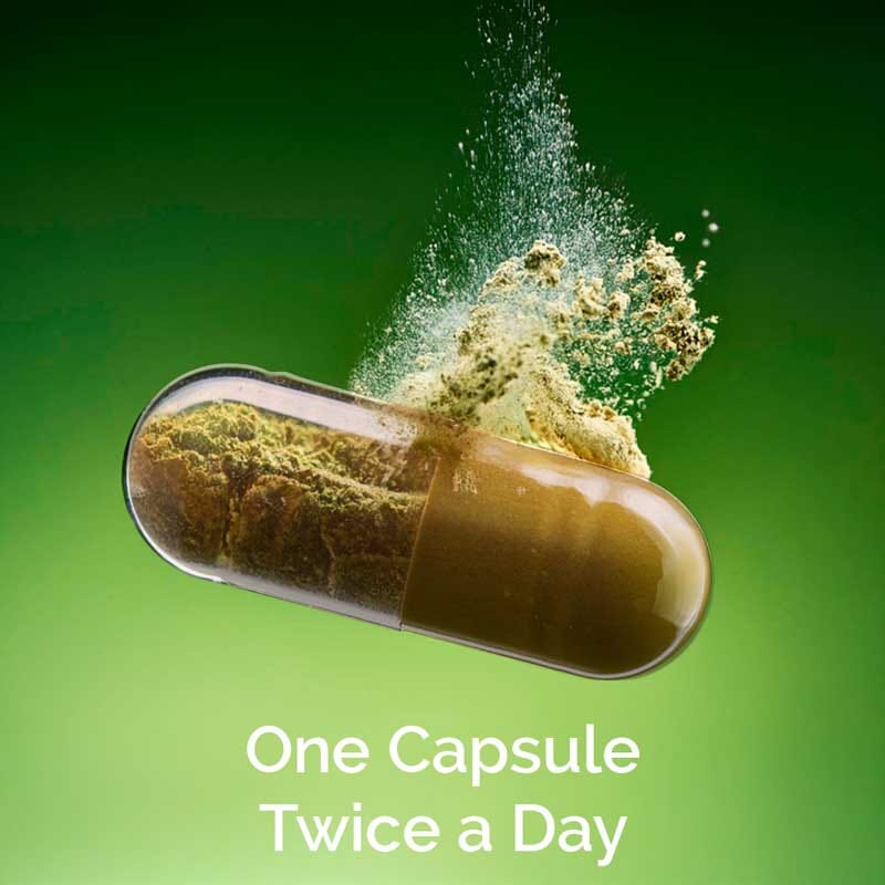 Clensicap - Daily Detox Supplement for Improved Strength, Stamina, Sleep and Digestion - Pack of 3 Supplements Ayuttva