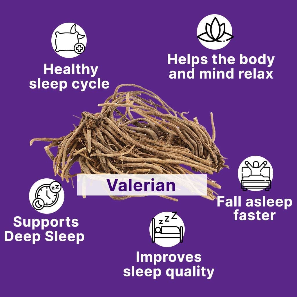 Sleep Gummies with KSM 66 Ashwagandha and Valerian Root for Blissful Sleep | Tasty Blueberry Flavor - Pack of 2 Supplements Ayuttva