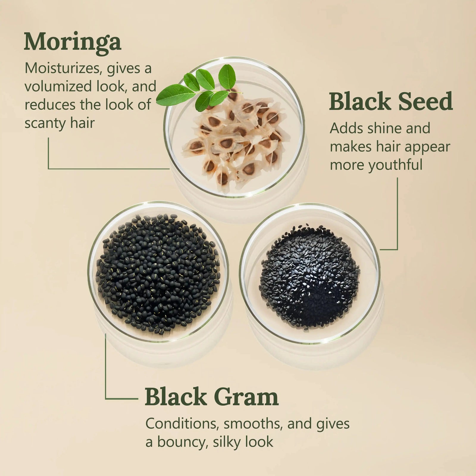 Soft-O-More Pre-Wash Hair Mask – Smooths, Softens, and Unfrizzes the look of Dry, Dull, Aging Hair – Revolutionary Formula with Moringa and Black Gram – Best Pre-Shampoo Hair Mask For Mature Hair Hair Mask A Modernica Naturalis