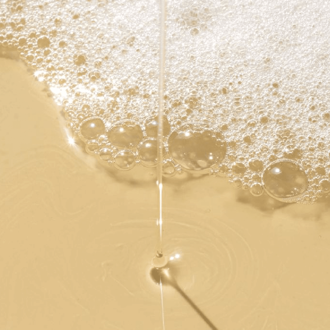 Soft-O-More Shampoo – Cleanses, Moisturizes, Unfrizzes the look of Dry, Dull, Damaged or Aging Hair – Ultra-Hydrating Formula with Moringa, Gotu Kola and Black Gram – Best Shampoo For Damaged, Frizzy Hair Hair Shampoo A Modernica Naturalis