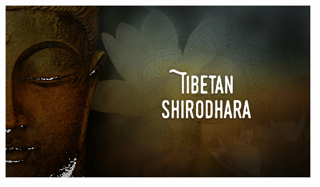 Tibetan Shirodhara Platinum Educational Course Experience Ayurveda