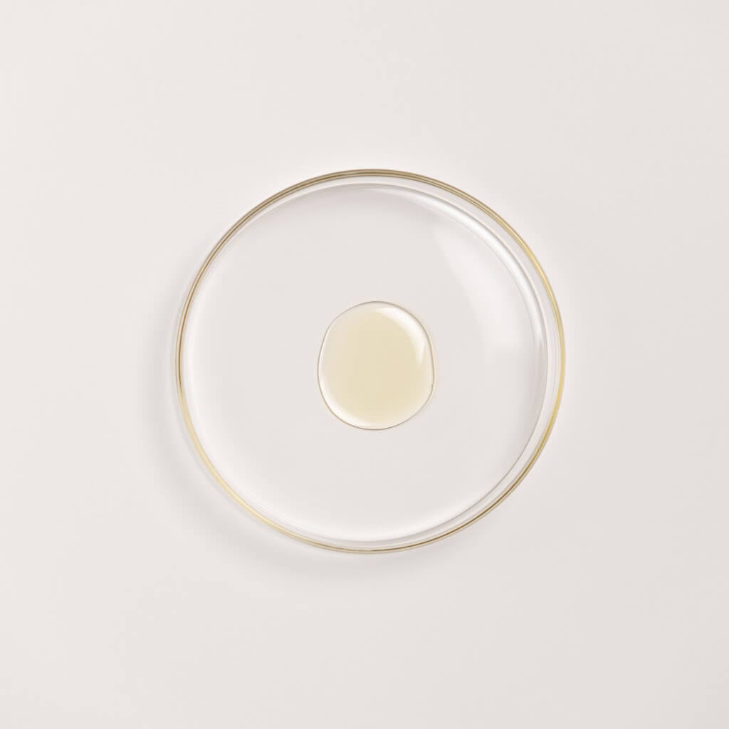 Black Gram Face Firming Cream and Moisturizing Body Oil Set Lotion &amp; Moisturizer A. Modernica Naturalis 