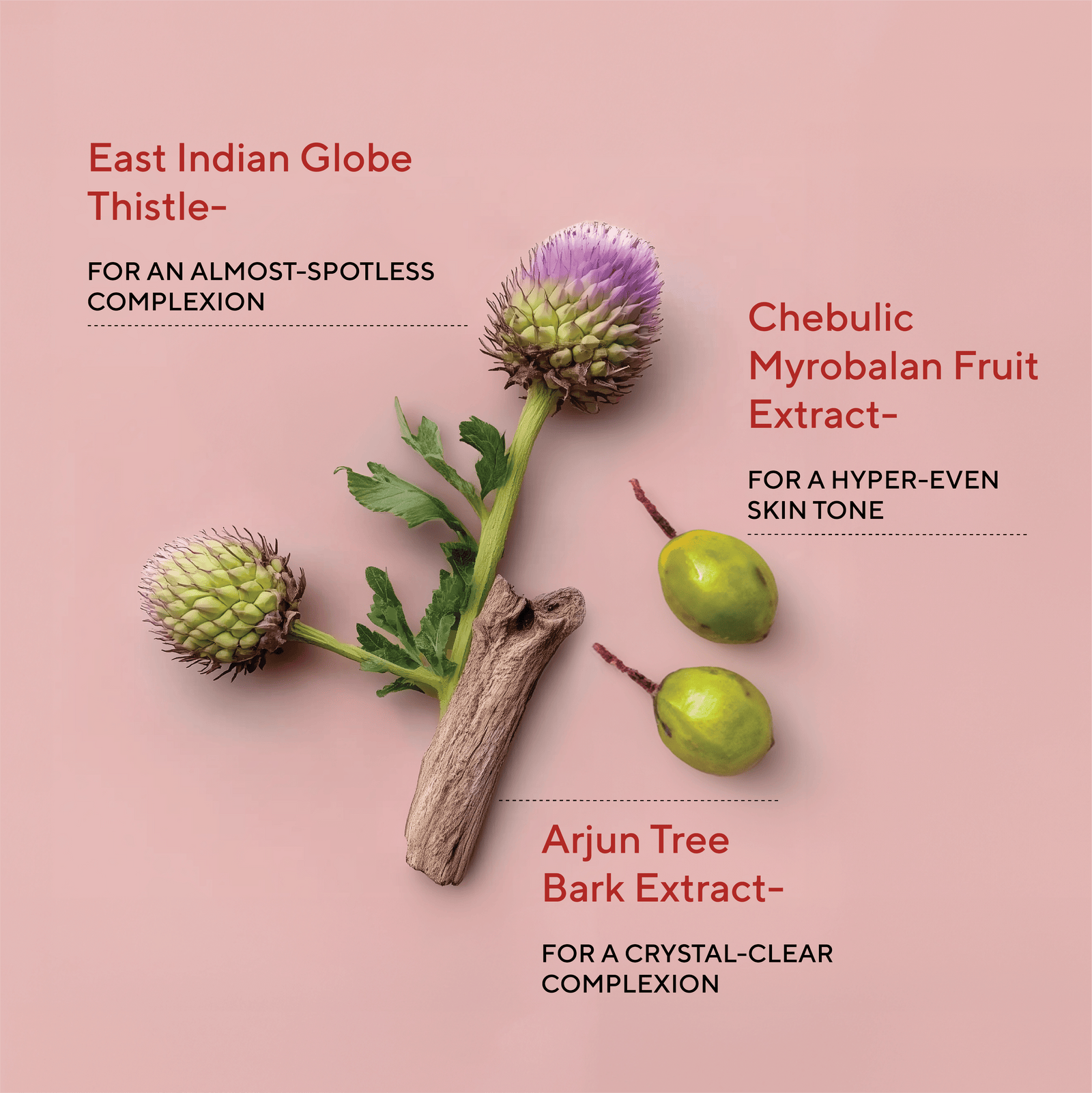 Dim N Dazzle Dark Spot Patch – Even-Tones and Brightens the look of Dark spots, Dry, Patchy Skin - Powered with East Indian Globe Thistle & Arjun Tree Bark– Best Dark Spot Patch for Crystal-Clear Complexion The Ayurveda Experience 