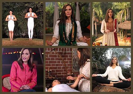 The Ayurveda Experience - Silver Educational Course Experience Ayurveda 