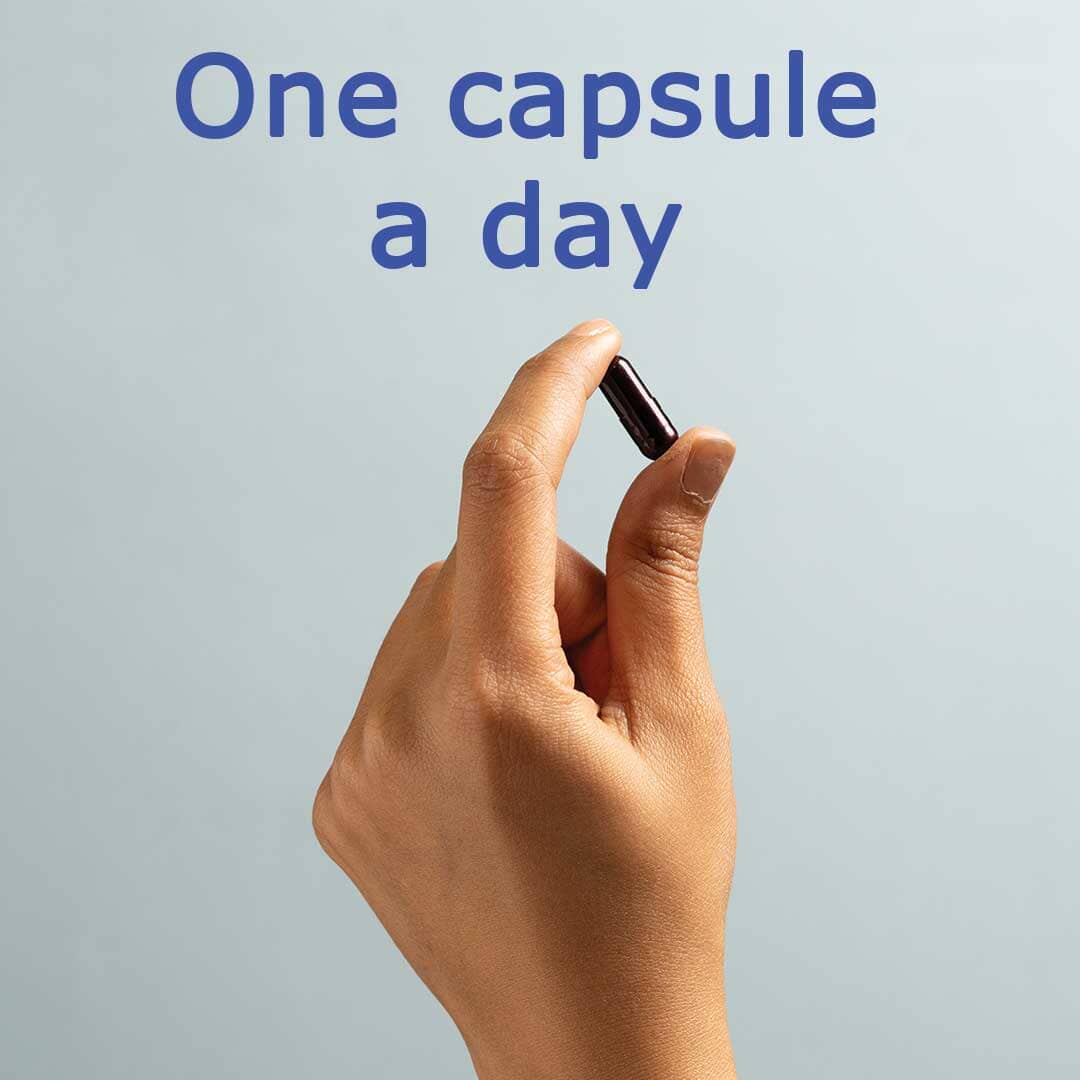 ViewRyt – Botanical Supplement with Clinically Proven Lutemax2020 for Healthy Eyes - Pack of 3 Supplements Ayuttva 